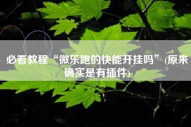 必看教程“微乐跑的快能开挂吗	”(原来确实是有插件)