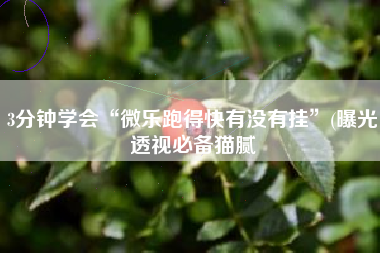 3分钟学会“微乐跑得快有没有挂”(曝光透视必备猫腻
