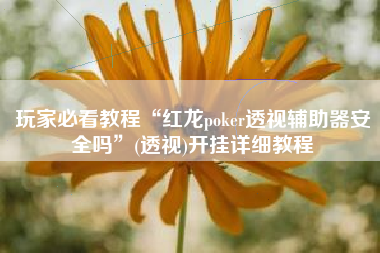 玩家必看教程“红龙poker透视辅助器安全吗”(透视)开挂详细教程