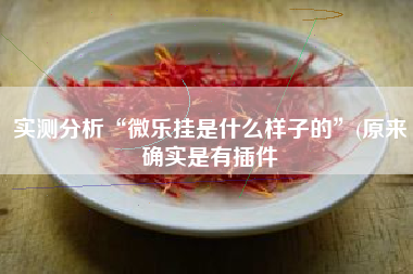 实测分析“微乐挂是什么样子的”(原来确实是有插件