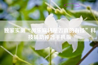 独家实测“微乐麻将是否真的有挂	”科技辅助神器手机版