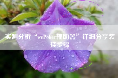 实测分析“wePoker辅助器	”详细分享装挂步骤