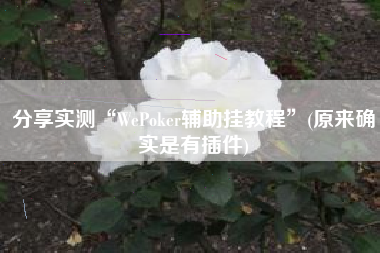 分享实测“WePoker辅助挂教程	”(原来确实是有插件)