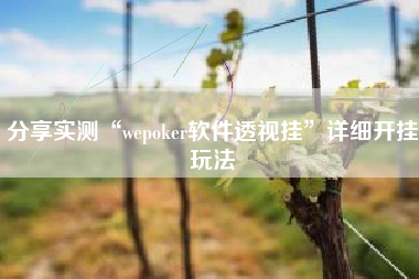 分享实测“wepoker软件透视挂”详细开挂玩法