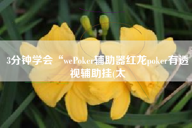3分钟学会“wePoker辅助器红龙poker有透视辅助挂(太