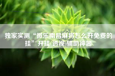 独家实测“微乐南昌麻将怎么开免费的挂”开挂(透视)辅助神器