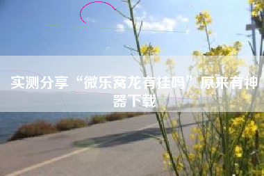 实测分享“微乐窝龙有挂吗”原来有神器下载