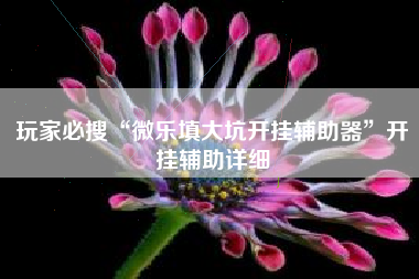 玩家必搜“微乐填大坑开挂辅助器	”开挂辅助详细