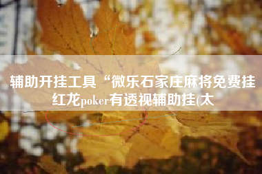 辅助开挂工具“微乐石家庄麻将免费挂红龙poker有透视辅助挂(太