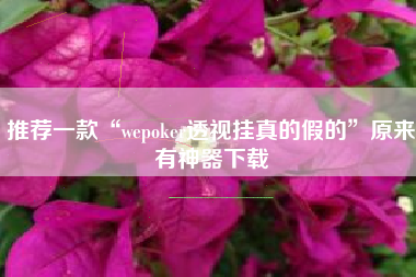 推荐一款“wepoker透视挂真的假的”原来有神器下载