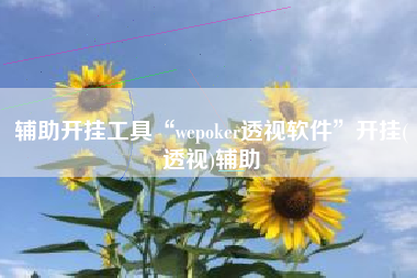 辅助开挂工具“wepoker透视软件”开挂(透视)辅助