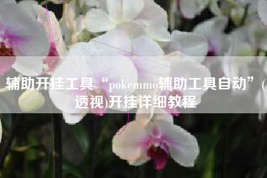 辅助开挂工具“pokemmo辅助工具自动”(透视)开挂详细教程