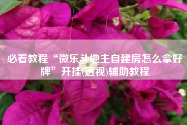 必看教程“微乐斗地主自建房怎么拿好牌	”开挂(透视)辅助教程