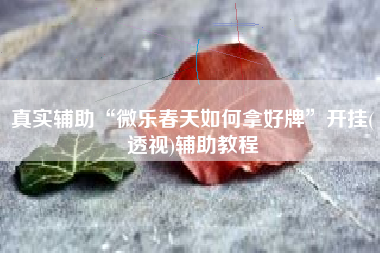 真实辅助“微乐春天如何拿好牌	”开挂(透视)辅助教程