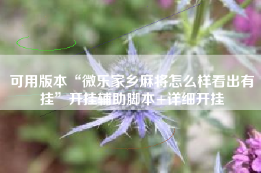 可用版本“微乐家乡麻将怎么样看出有挂”开挂辅助脚本+详细开挂