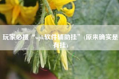 玩家必搜“wpk软件辅助挂”(原来确实是有挂)