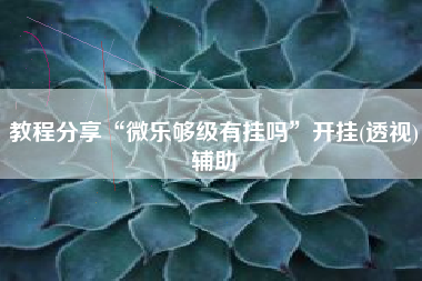 教程分享“微乐够级有挂吗”开挂(透视)辅助