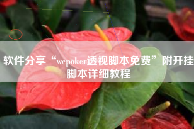 软件分享“wepoker透视脚本免费”附开挂脚本详细教程