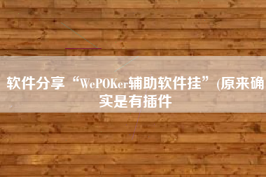 软件分享“WePOKer辅助软件挂”(原来确实是有插件