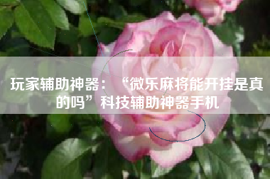 玩家辅助神器：“微乐麻将能开挂是真的吗”科技辅助神器手机