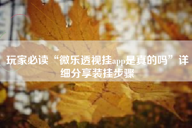 玩家必读“微乐透视挂app是真的吗”详细分享装挂步骤