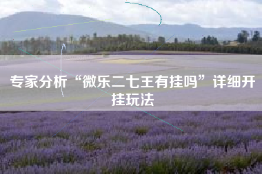专家分析“微乐二七王有挂吗”详细开挂玩法