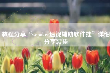 教程分享“wepoker透视辅助软件挂	”详细分享装挂