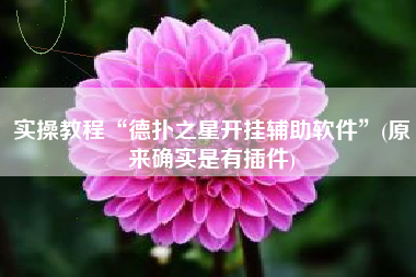 实操教程“德扑之星开挂辅助软件”(原来确实是有插件)