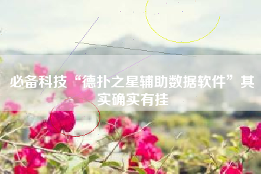 必备科技“德扑之星辅助数据软件”其实确实有挂