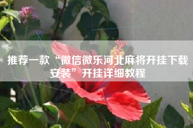 推荐一款“微信微乐河北麻将开挂下载安装	”开挂详细教程