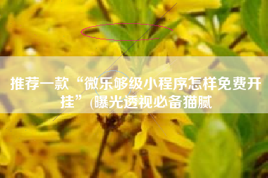 推荐一款“微乐够级小程序怎样免费开挂”(曝光透视必备猫腻