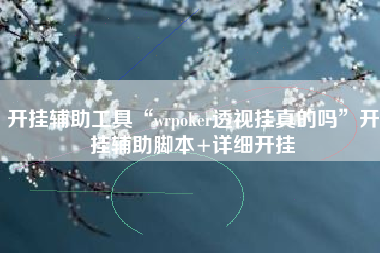 开挂辅助工具“wrpoker透视挂真的吗	”开挂辅助脚本+详细开挂