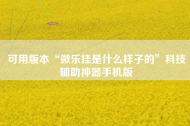 可用版本“微乐挂是什么样子的”科技辅助神器手机版