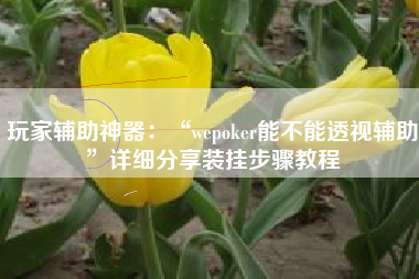 玩家辅助神器：“wepoker能不能透视辅助	”详细分享装挂步骤教程