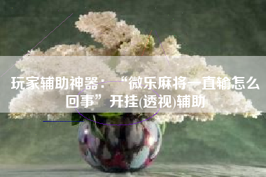 玩家辅助神器：“微乐麻将一直输怎么回事”开挂(透视)辅助
