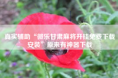 真实辅助“微乐甘肃麻将开挂免费下载安装”原来有神器下载