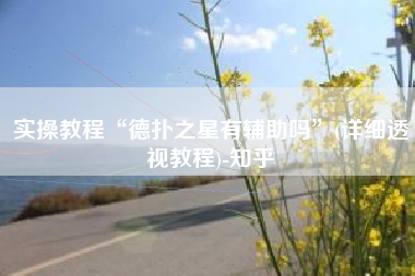 实操教程“德扑之星有辅助吗”(详细透视教程)-知乎