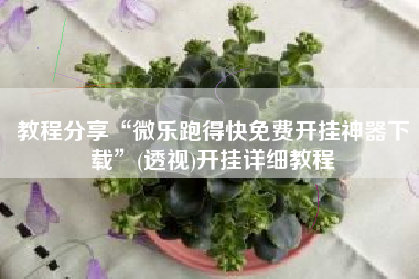 教程分享“微乐跑得快免费开挂神器下载	”(透视)开挂详细教程