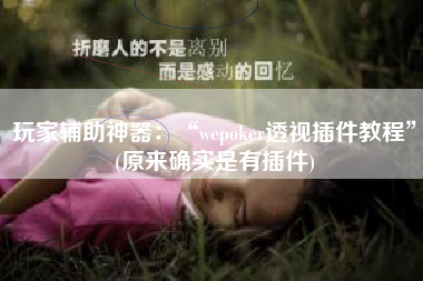 玩家辅助神器：“wepoker透视插件教程”(原来确实是有插件)