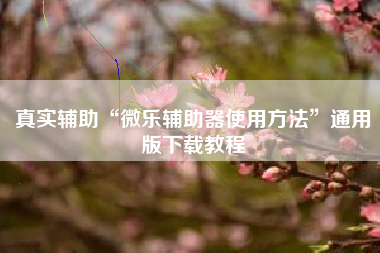真实辅助“微乐辅助器使用方法”通用版下载教程