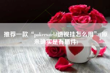 推荐一款“pokerworld透视挂怎么用”(原来确实是有插件)