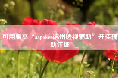 可用版本“aapoker德州透视辅助”开挂辅助详细