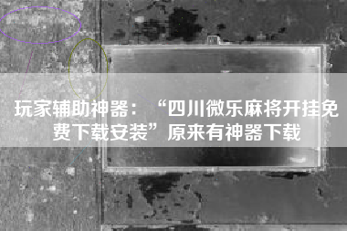 玩家辅助神器：“四川微乐麻将开挂免费下载安装	”原来有神器下载