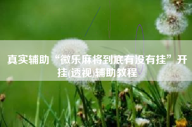 真实辅助“微乐麻将到底有没有挂”开挂(透视)辅助教程