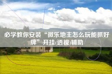 必学教你安装“微乐地主怎么玩能抓好牌”开挂(透视)辅助