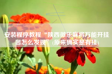 安装程序教程“陕西微乐麻将万能开挂器怎么发现	”(原来确实是有挂)