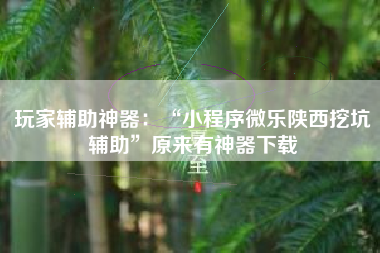 玩家辅助神器：“小程序微乐陕西挖坑辅助”原来有神器下载