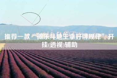 推荐一款“微乐斗地主拿好牌规律”开挂(透视)辅助