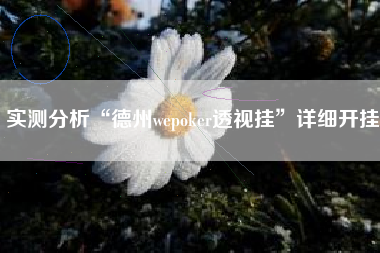 实测分析“德州wepoker透视挂”详细开挂