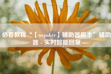 必看教程“【wepoker】辅助器脚本”辅助器 - 实时智能回复
